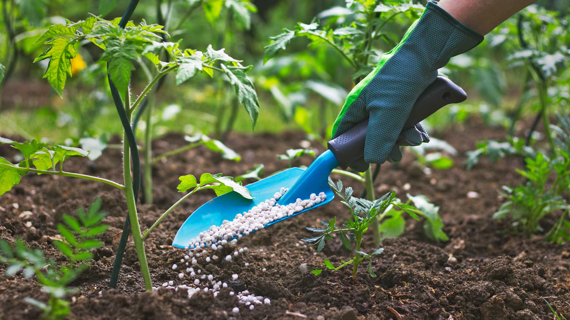 Chemical & Fertilizers